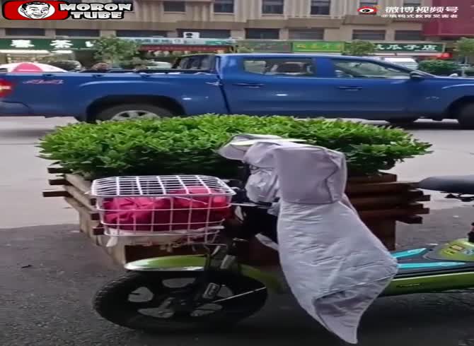 Video :Road rage - He repeatedly crashes his pickup truck into a little automobile, destroying it!
